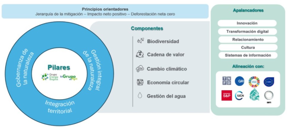 Infografia Nuestra Estrategia