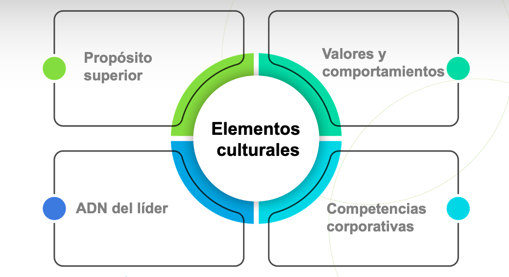 elementos cultura GEB.png