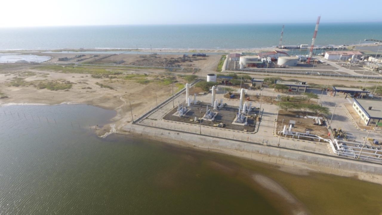 Ballenas TGI-GEB.jpeg