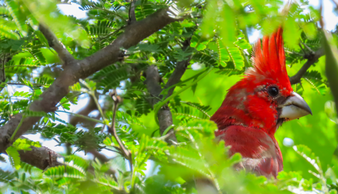 Gestión ambiental GEB