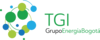 Logo TGI